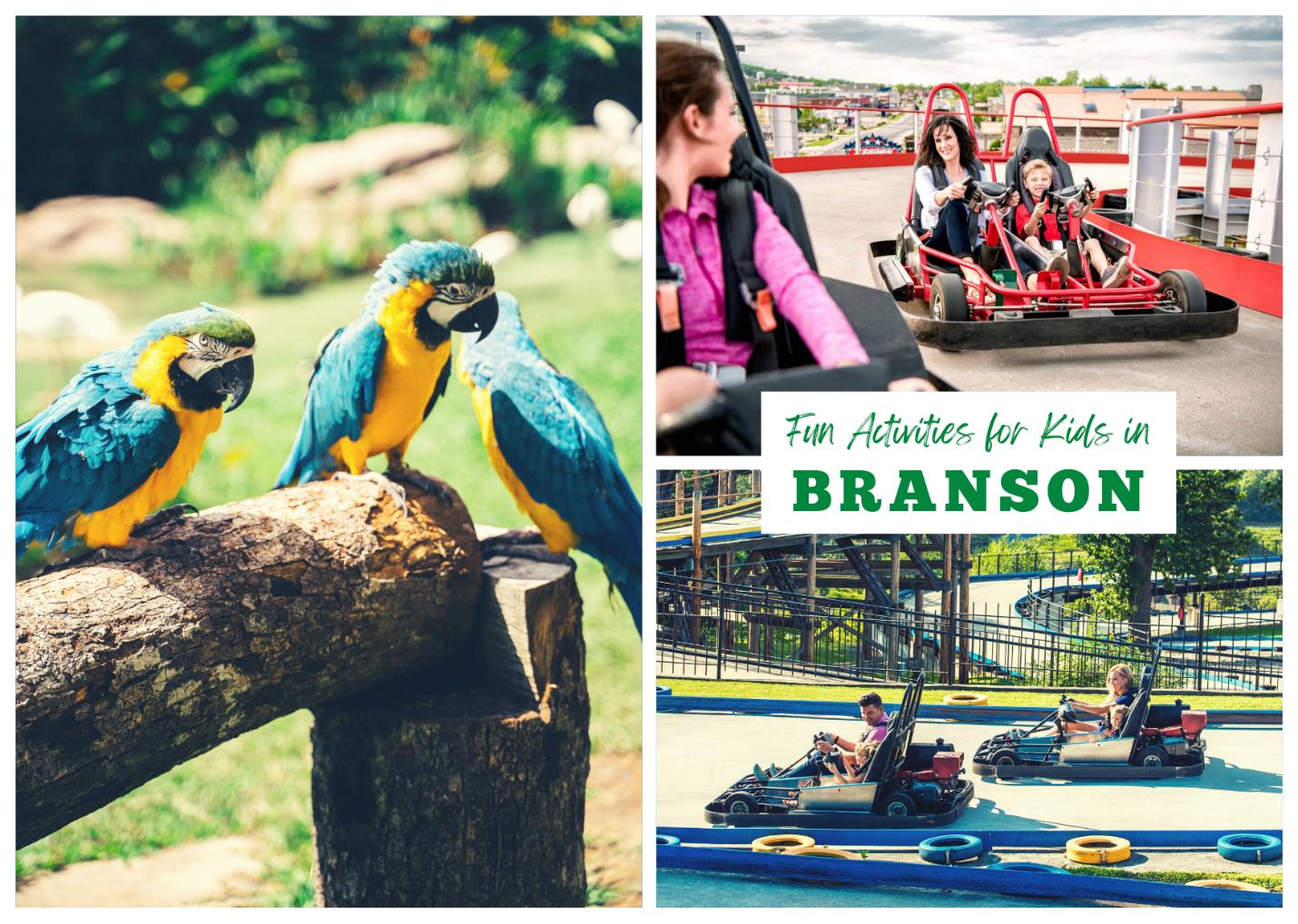 Cabin Rentals Near Branson, MO Share Awesome Kid-Friendly Activities